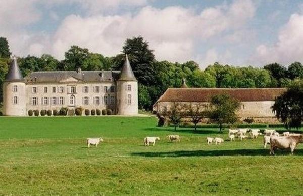 Sens-Beaujeu Chateau De Beaujeu מראה חיצוני תמונה
